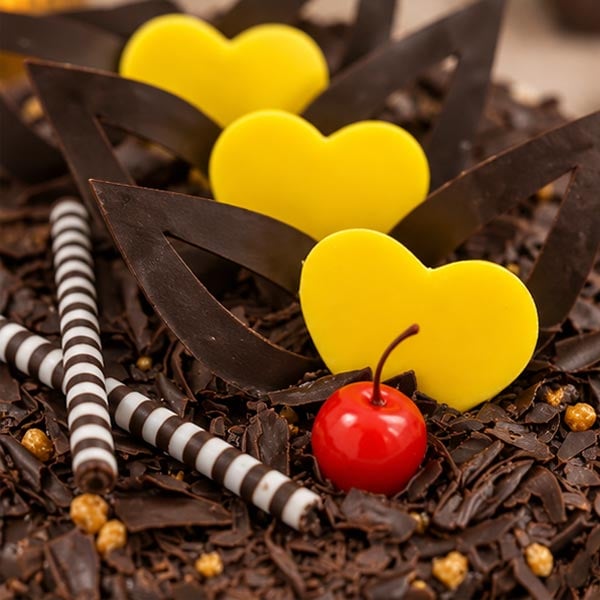 Chocolate Black Forest Celebration Cake 3
