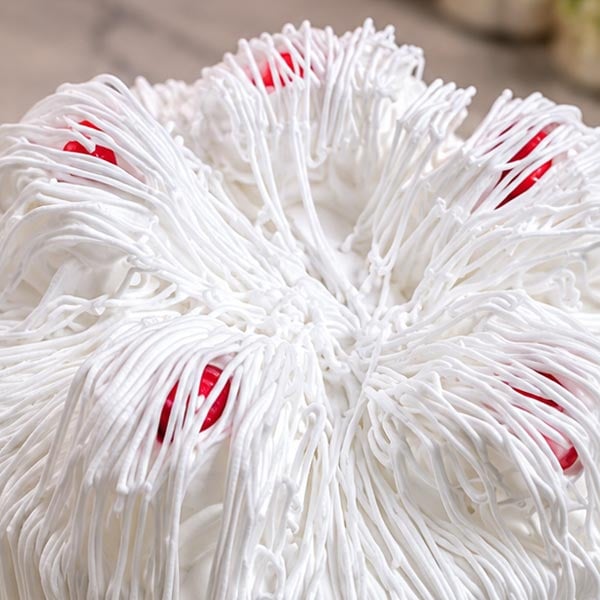 White Forest Cake - Classic White Chocolate & Cherry Cake 4