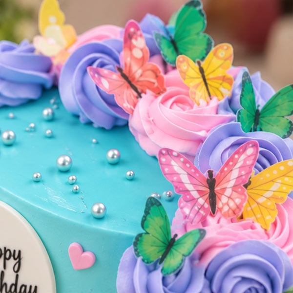 Elegant Chocolate Celebration Cake - Premium Chocolate Cake 4